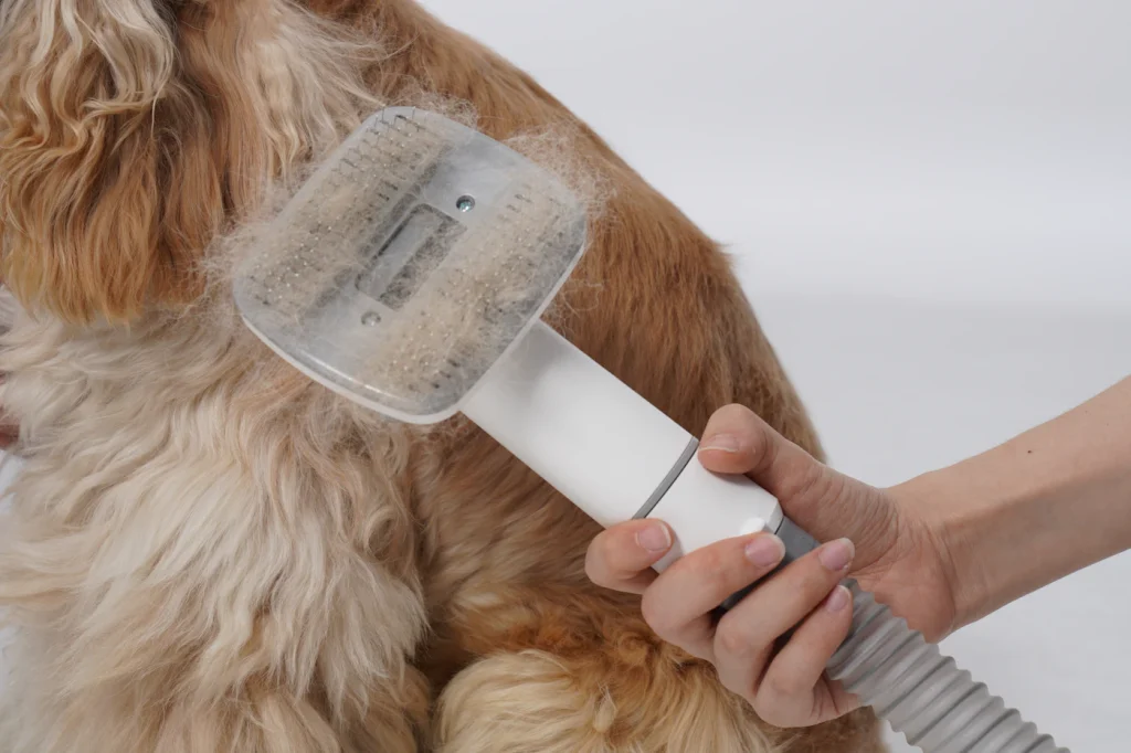 Owner using a deshedding brush on a golden dog coat