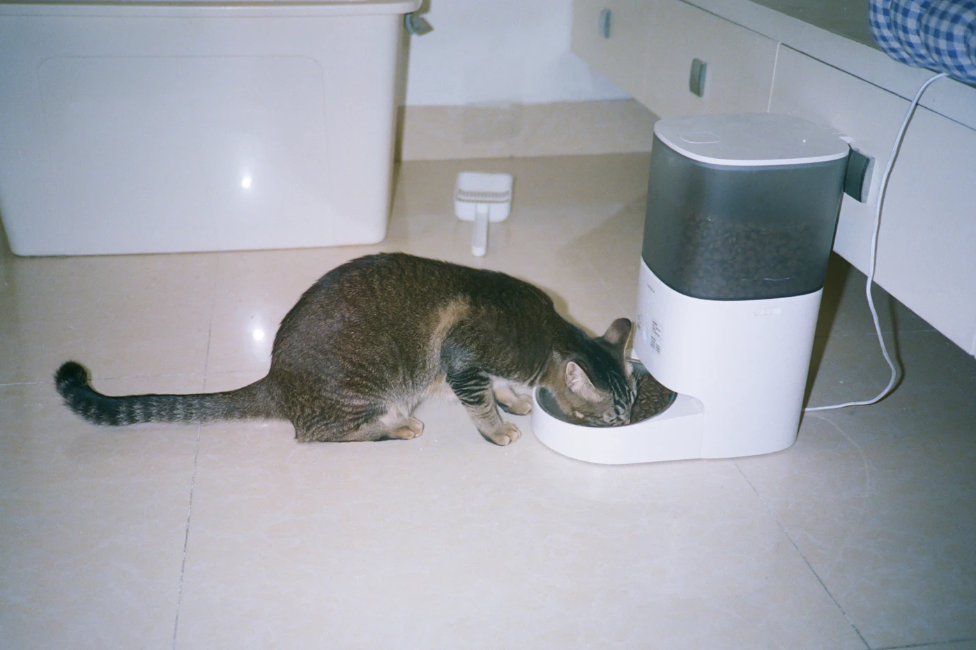 Cat eating from an automatic pet feeder on a kitchen floor