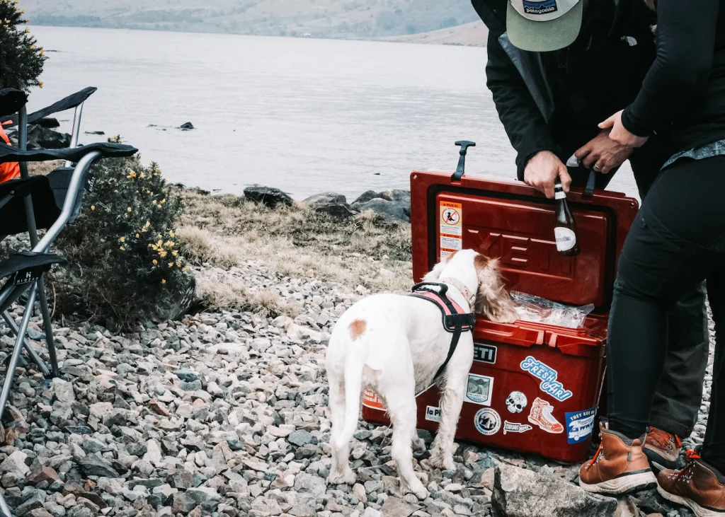 Owner opening a pet first aid kit next to a small dog