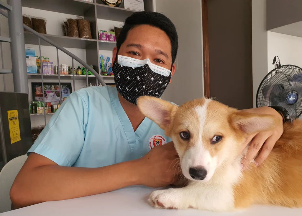 Veterinary professional smiling with a dog