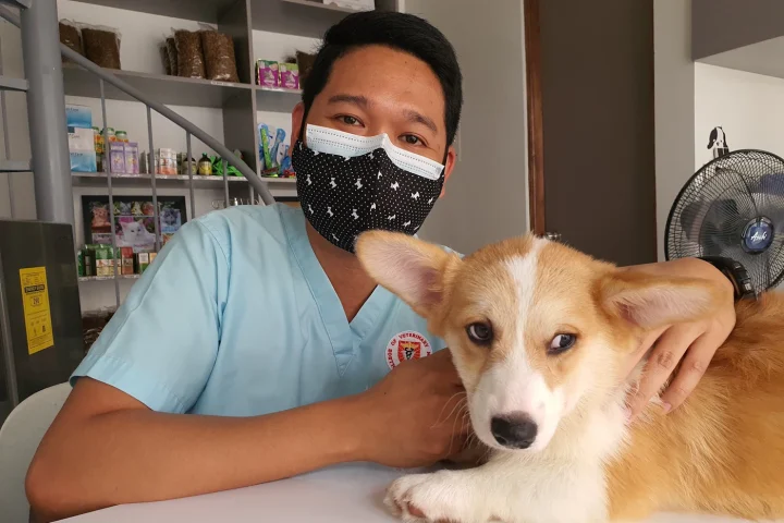 Veterinary professional smiling with a dog