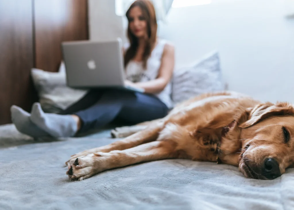Woman using a laptop on the bed with her dog