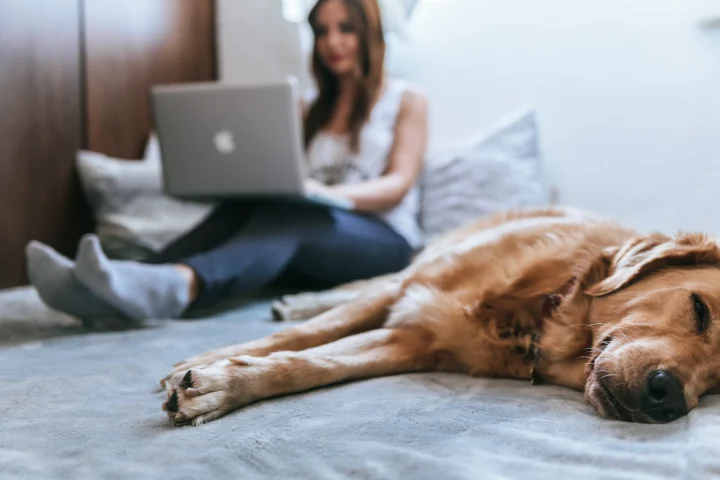 Woman using a laptop on the bed with her dog