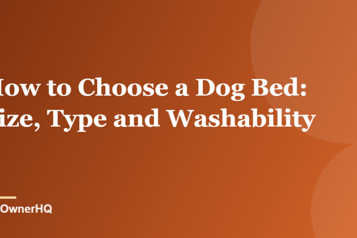 How to Choose a Dog Bed: Size, Type and Washability