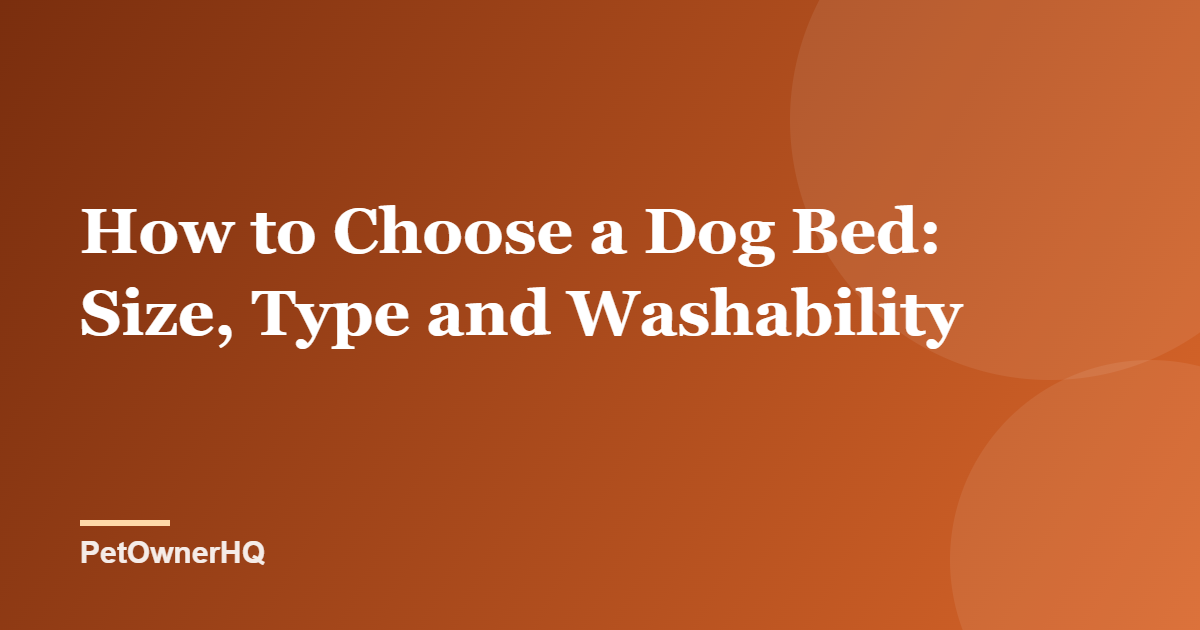 How to Choose a Dog Bed: Size, Type and Washability